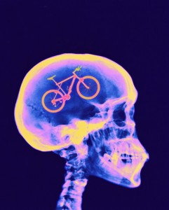 cerebro_ciclista